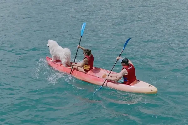 kayaks-sud-escapades-1200